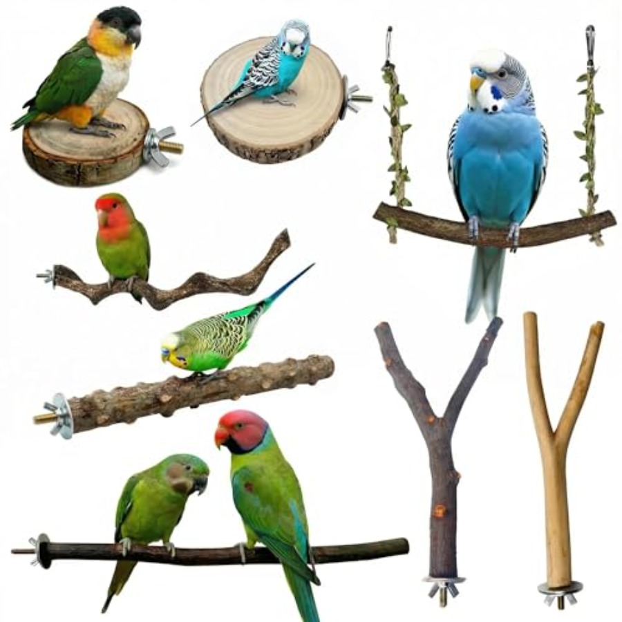 Health & Wellness Japan 2026 - 8PCS natural wood bird perches for