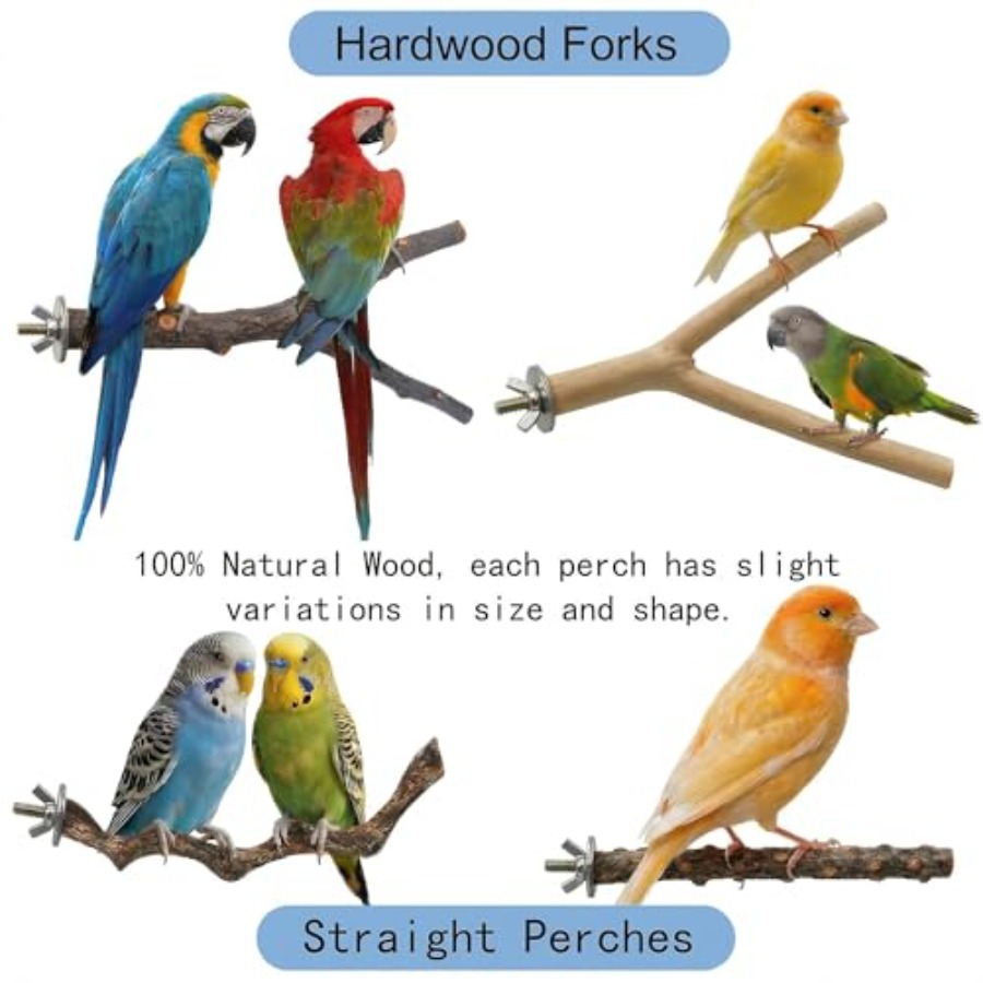 8PCS natural wood bird perches - Health & Wellness Japan 2026 评论和价格