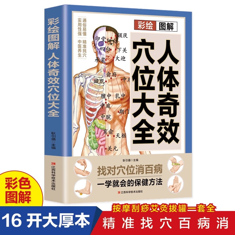 Acupoint Massage & TCM Health  - Health & Wellness Japan 2026 评论和价格
